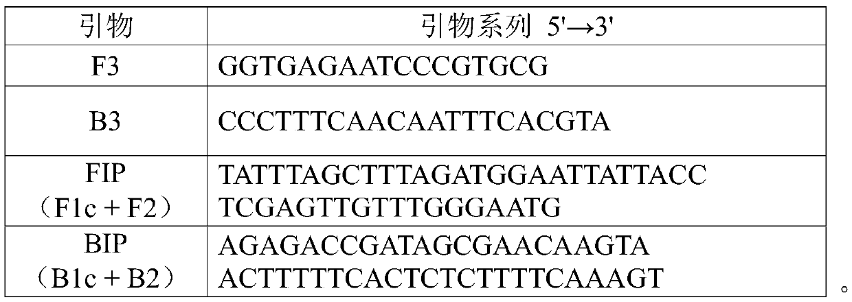 Primer set and detection method for detecting candida albicans in female vaginal secretions