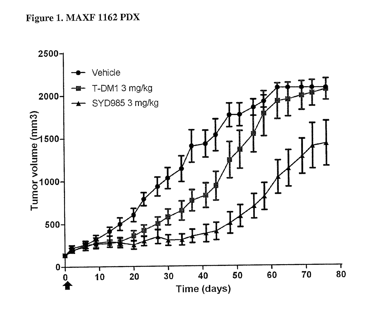 Duocarmycin adcs showing improved in vivo antitumor activity