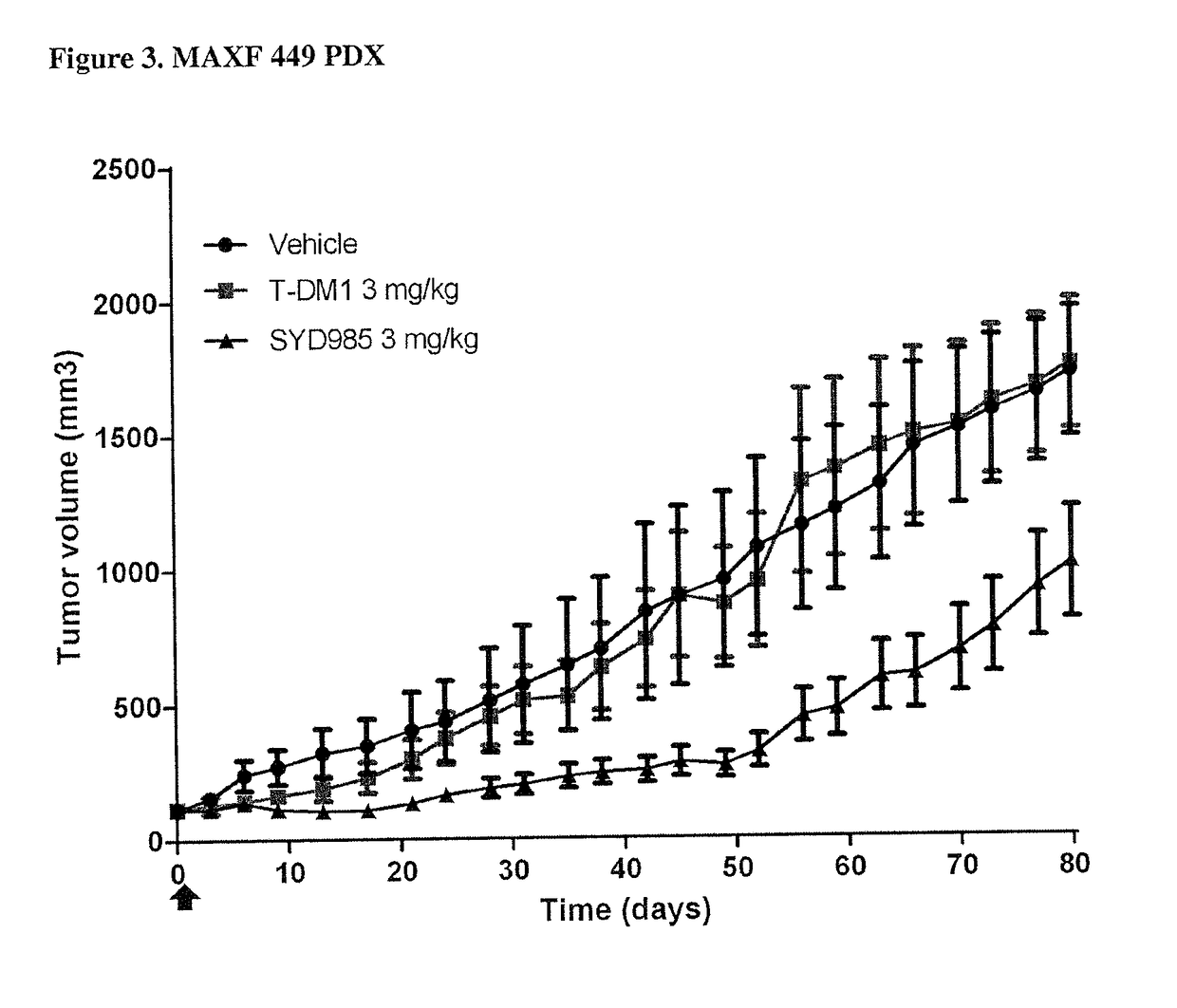 Duocarmycin adcs showing improved in vivo antitumor activity