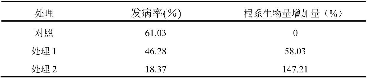 Pear rhizosphere growth promoting bacillus mycoides Lzh-Z7 and application thereof