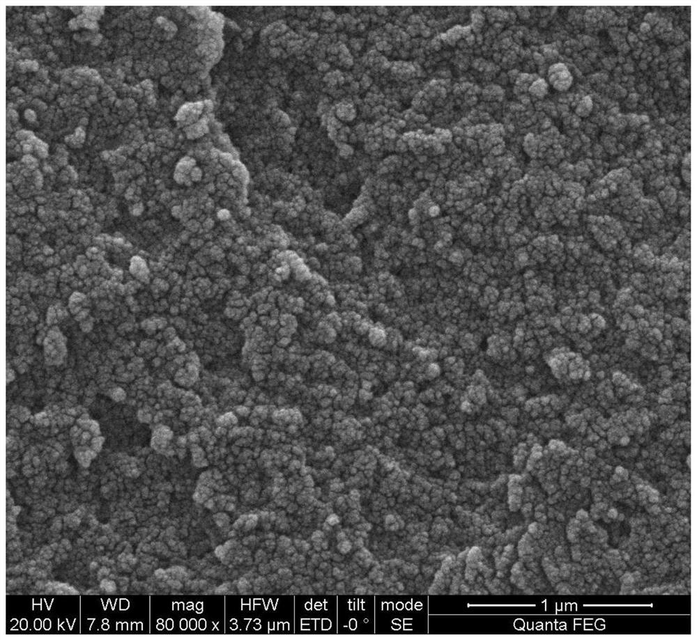 Method for producing humic acid based on natural biomass