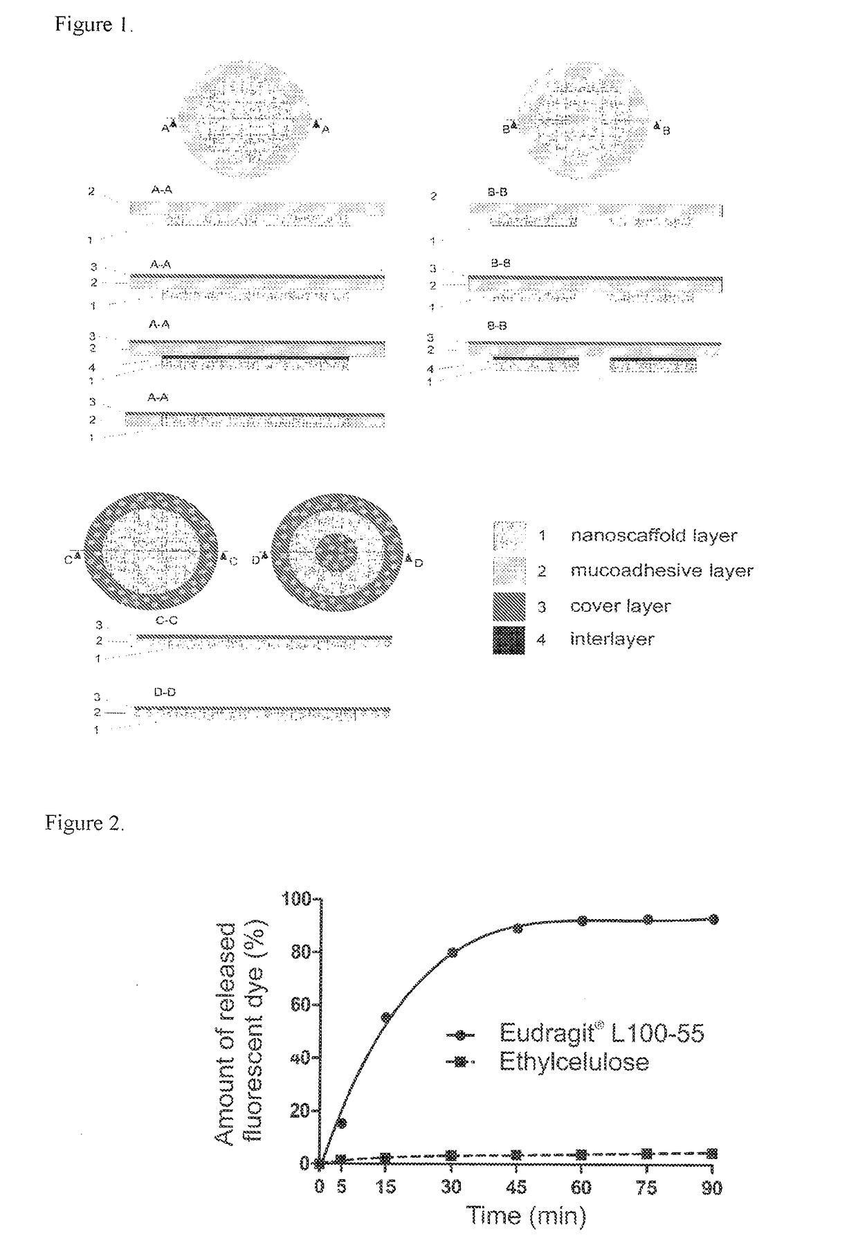 Mucoadhesive carriers of particles, method of preparation and uses thereof