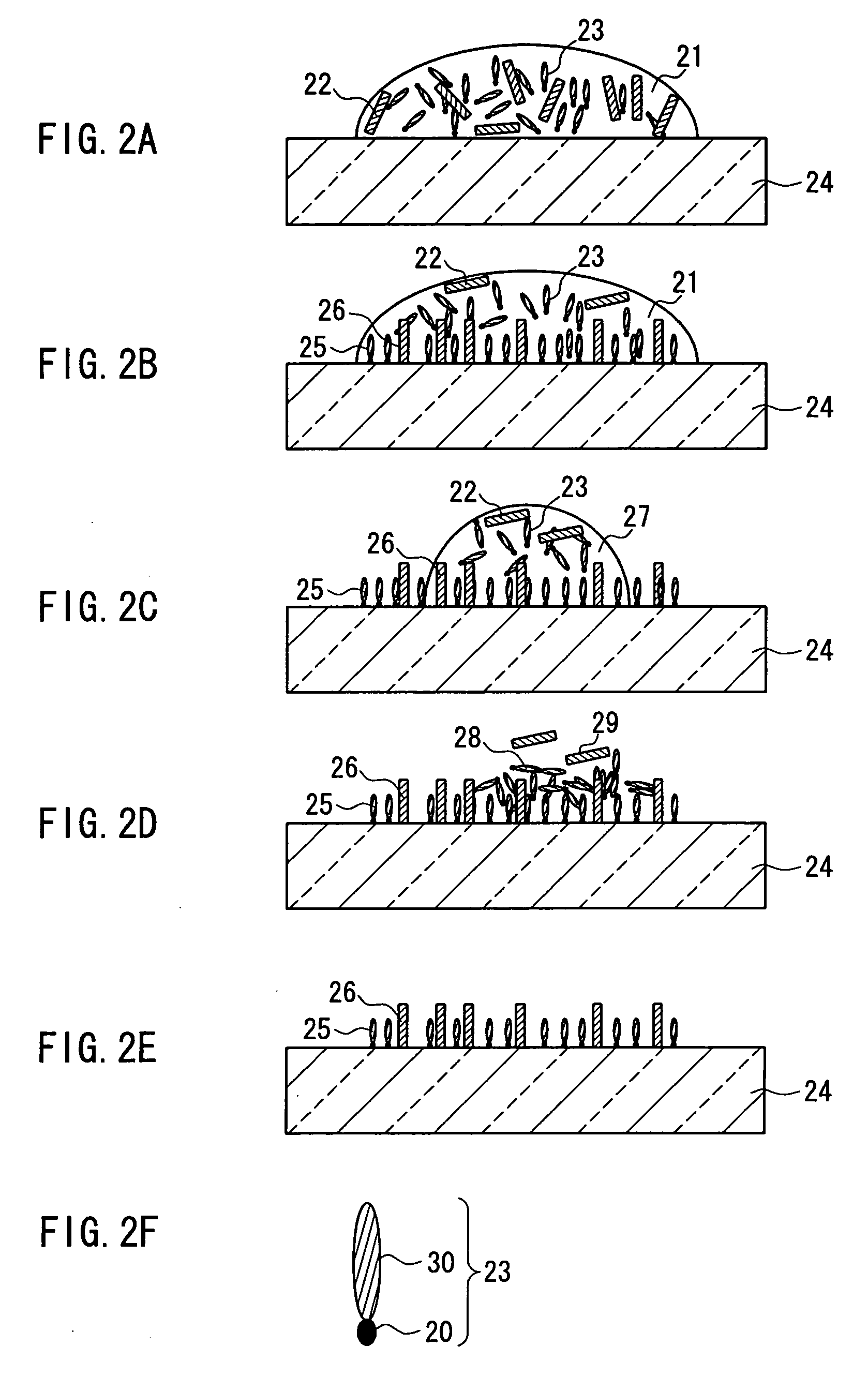 Process for manufacturing biochip, probe solution, and biochip