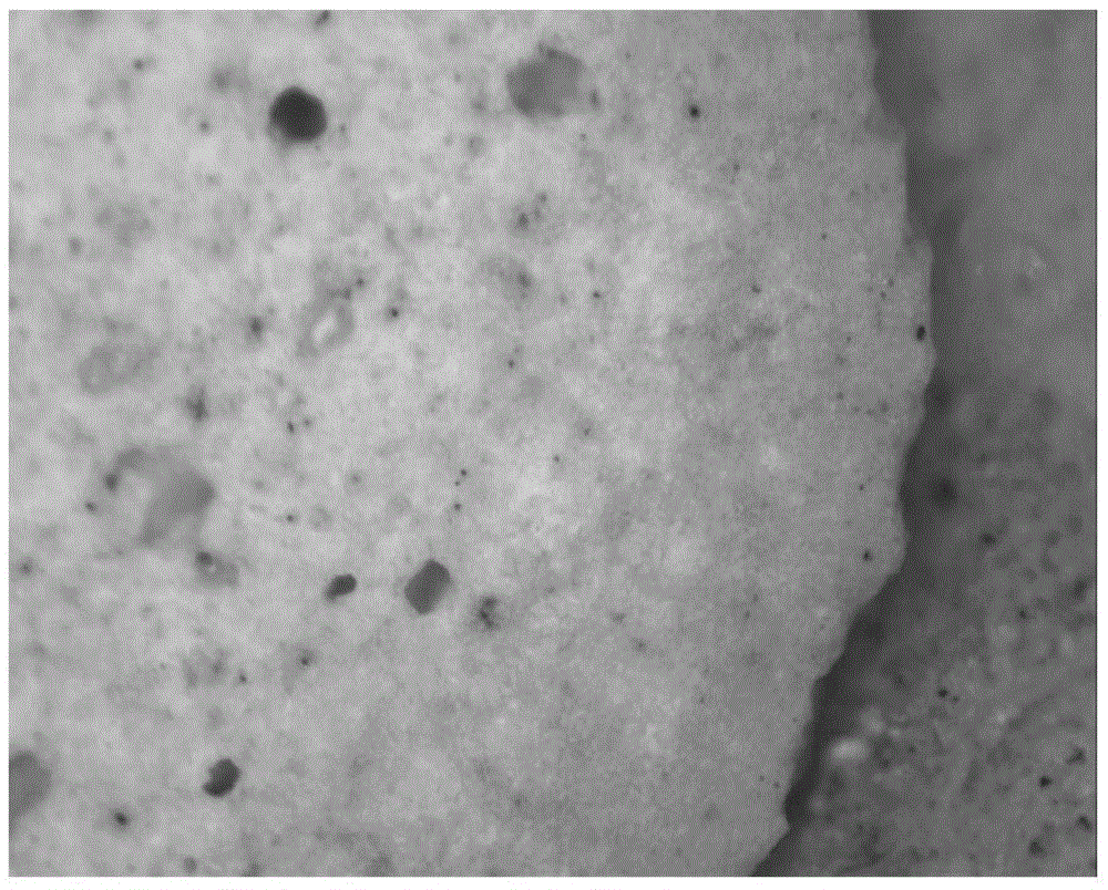 A kind of lightweight ceramsite with calcium chloride surface aided sintering and preparation method thereof