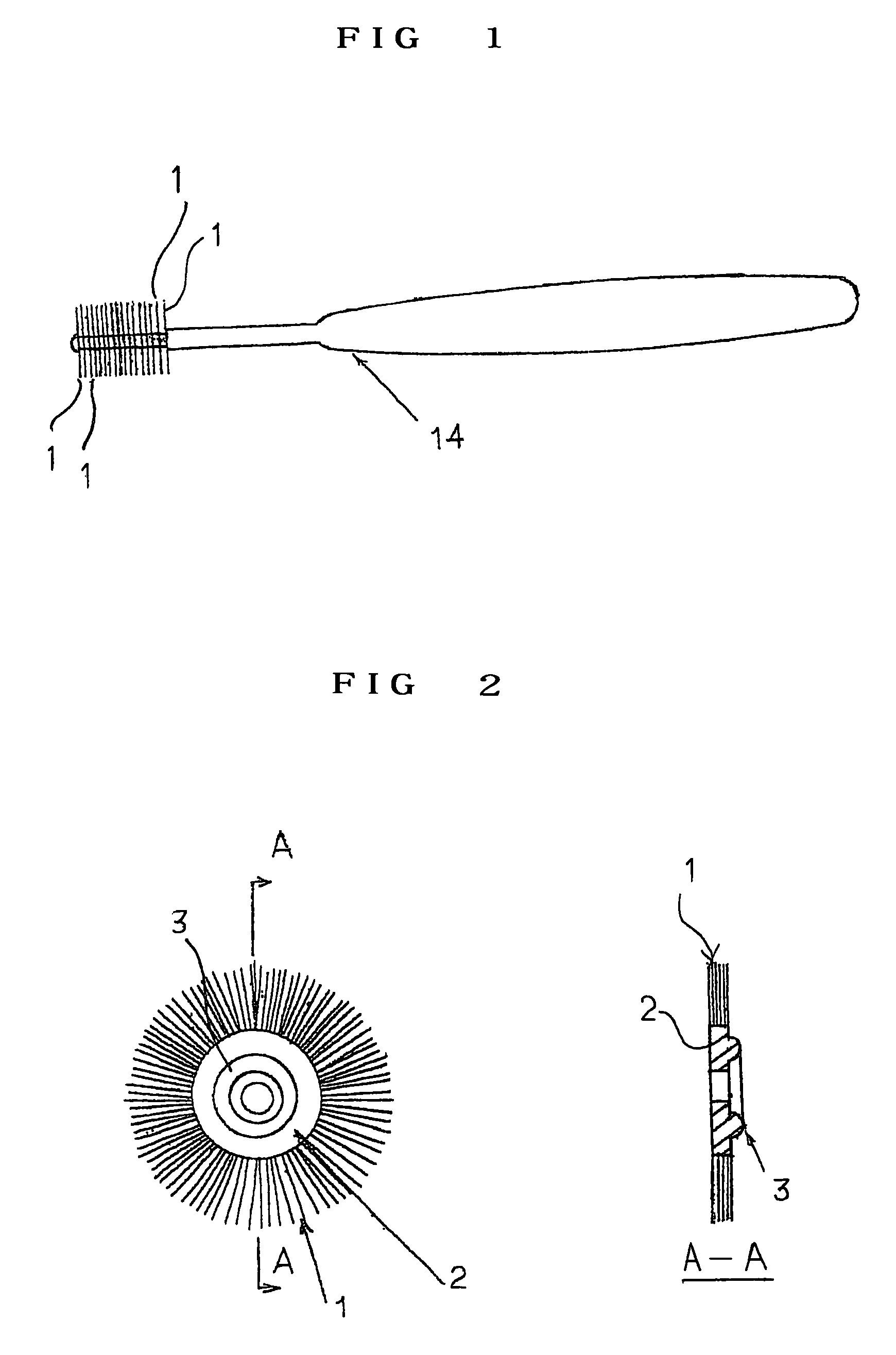 Radial vane for tooth brush, tooth brush using the same, and method and device for manufacturing the radial vane for the tooth brush