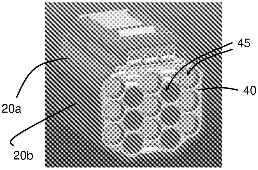 Battery packs containing configurable terminal holder