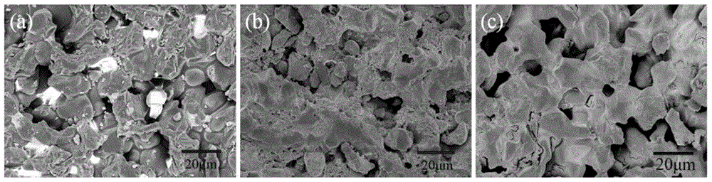 Preparation method and application of bionic temperature-sensitive molecular engram composite film
