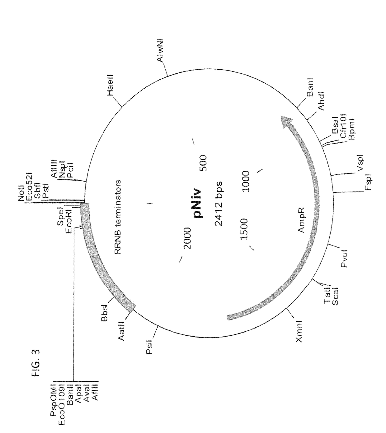 Methods of production of products of metabolic pathways