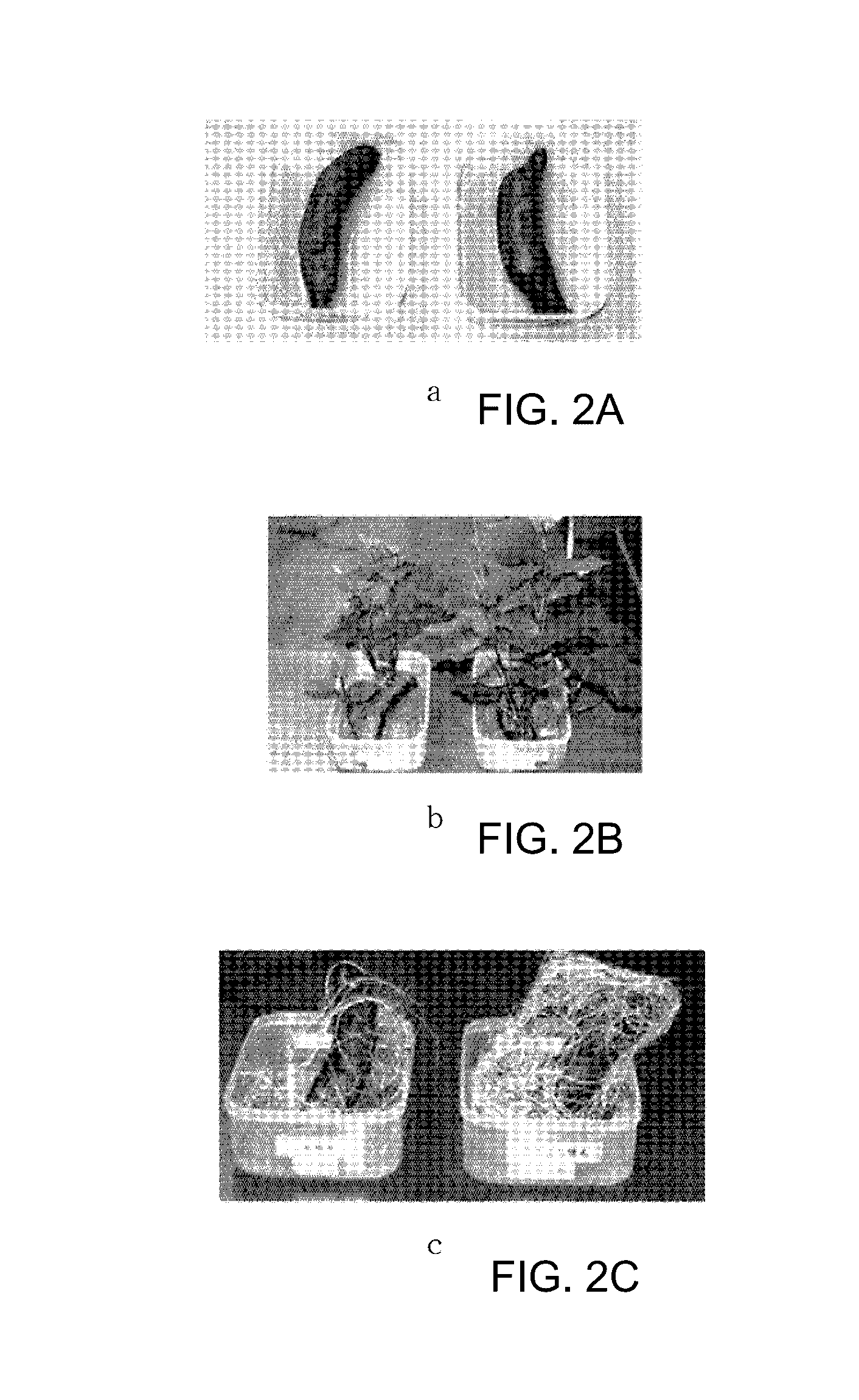 Method for raising plants and composition used therefor