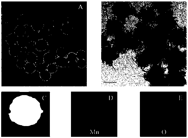 MnO2 wrapped polydopamine nano-particle, preparation method and application
