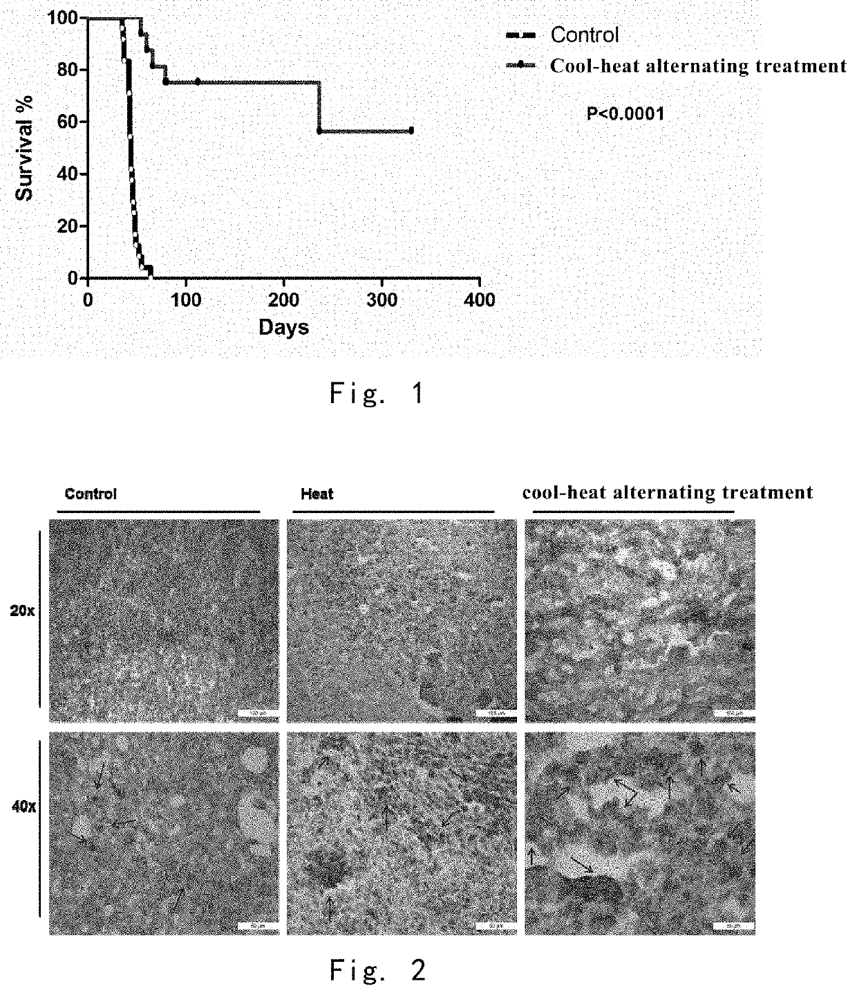 Tumour immunogen, preparation method therefor, and application