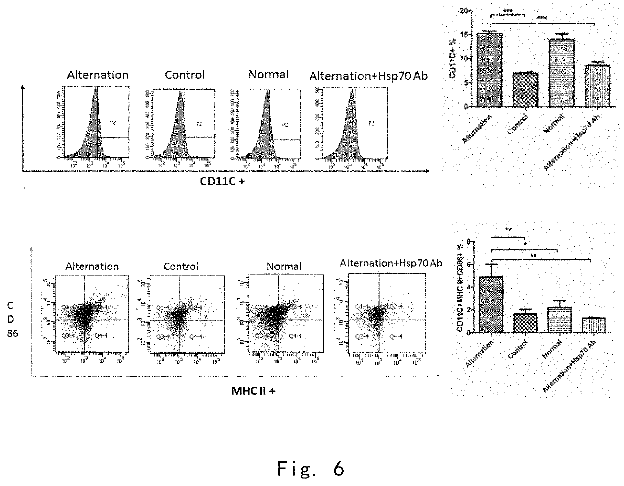 Tumour immunogen, preparation method therefor, and application