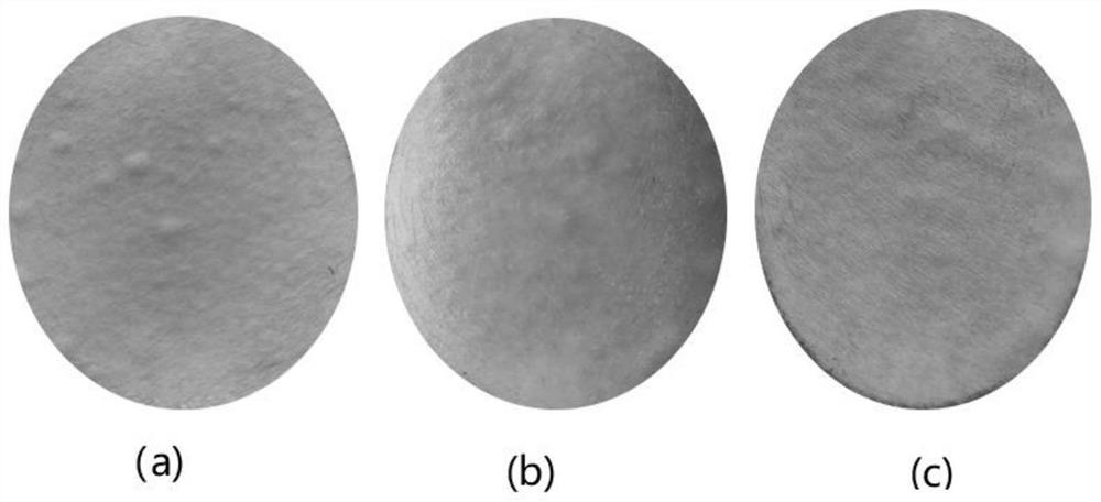 Peach resin polysaccharide gum capable of brightening skin, application and extraction and preparation method of peach resin polysaccharide gum