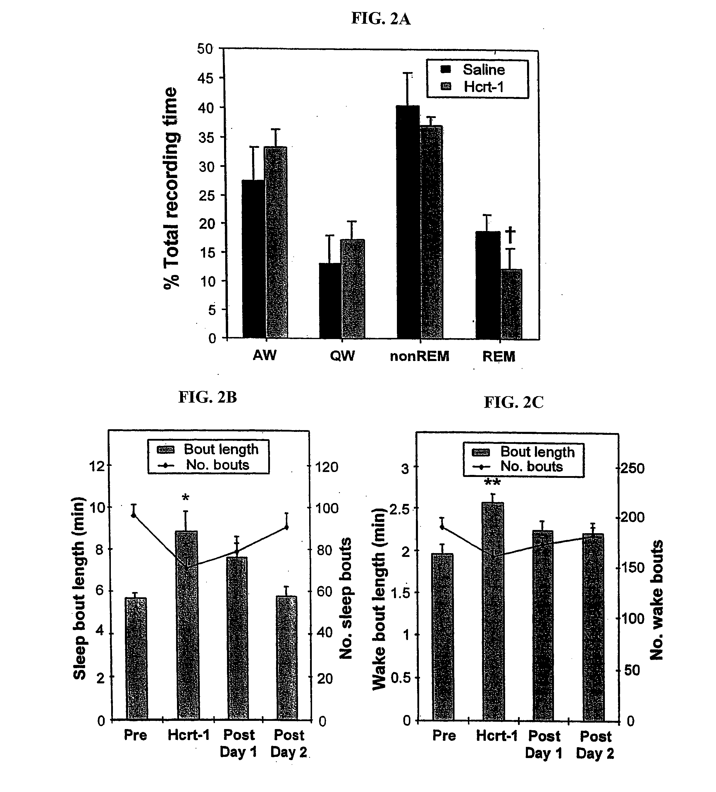 Administration of hypocretin-1 for treatment of narcolepsy