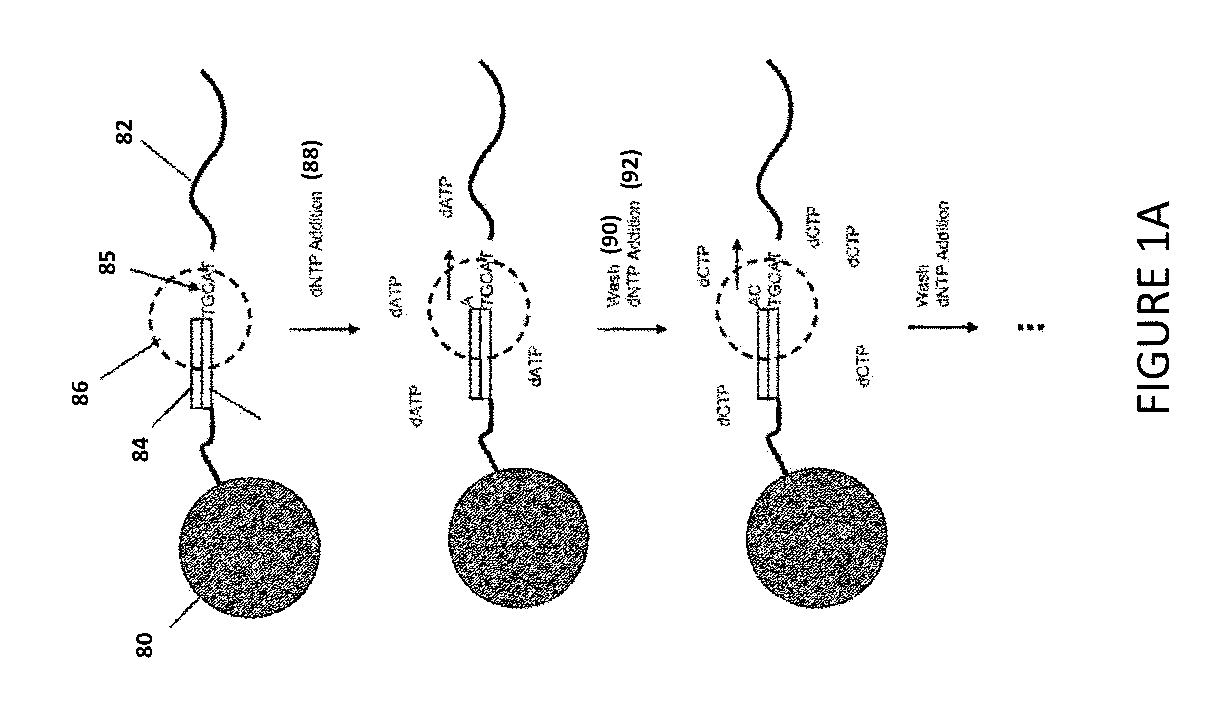 Methods, systems, and computer-readable media for blind deconvolution dephasing of nucleic acid sequencing data