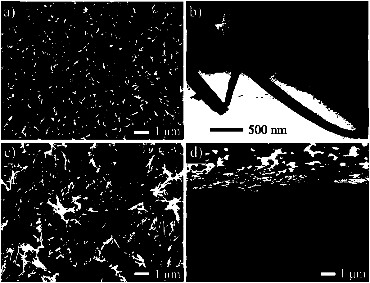 Preparation and application of ordered gas diffusion electrode based on nanotube array