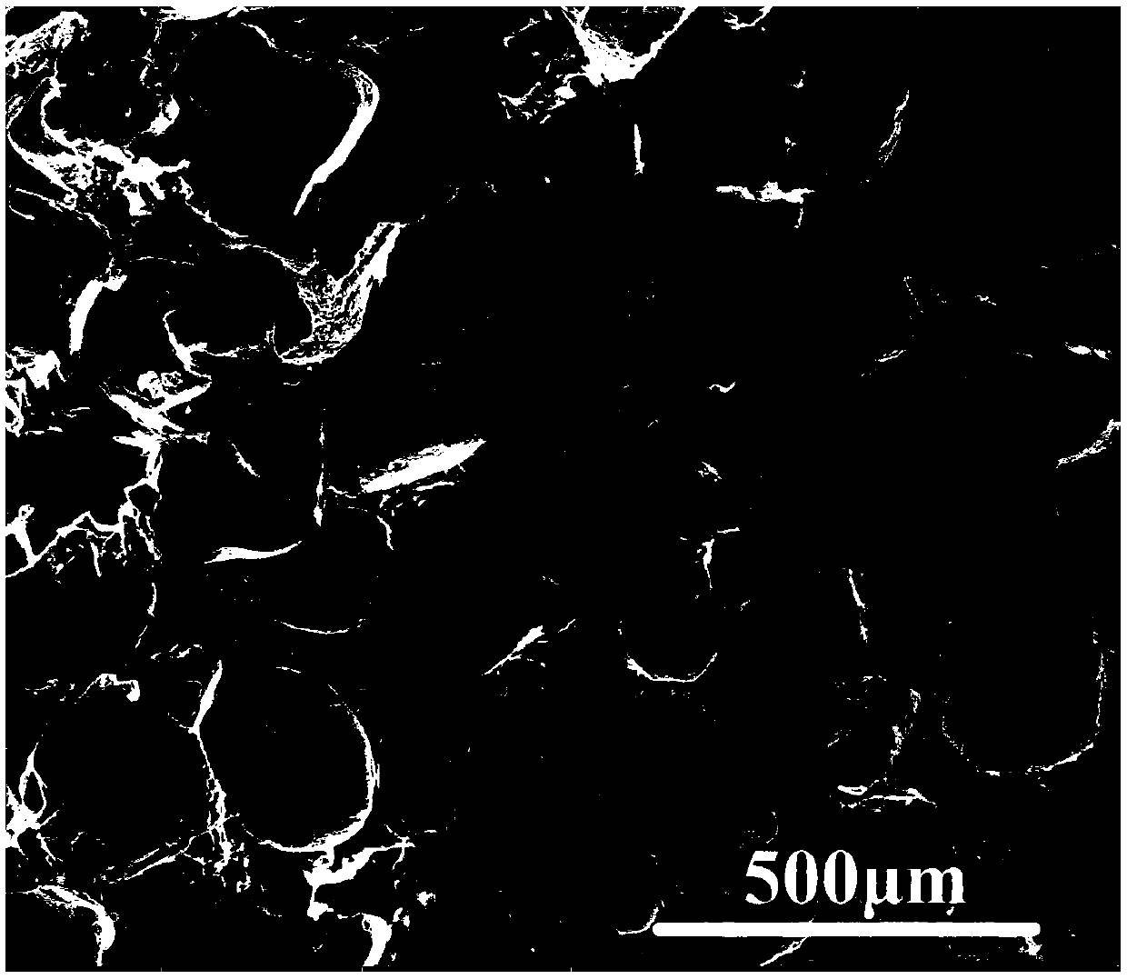 Porous polylactic acid material for scaffold for tissue engineering and preparation method thereof