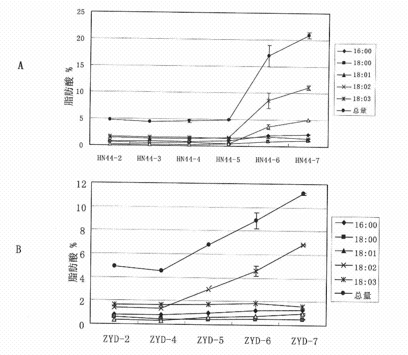 Vegetable oil and fat metabolism related regulatory protein GmMYB73 as well as coding gene and application thereof
