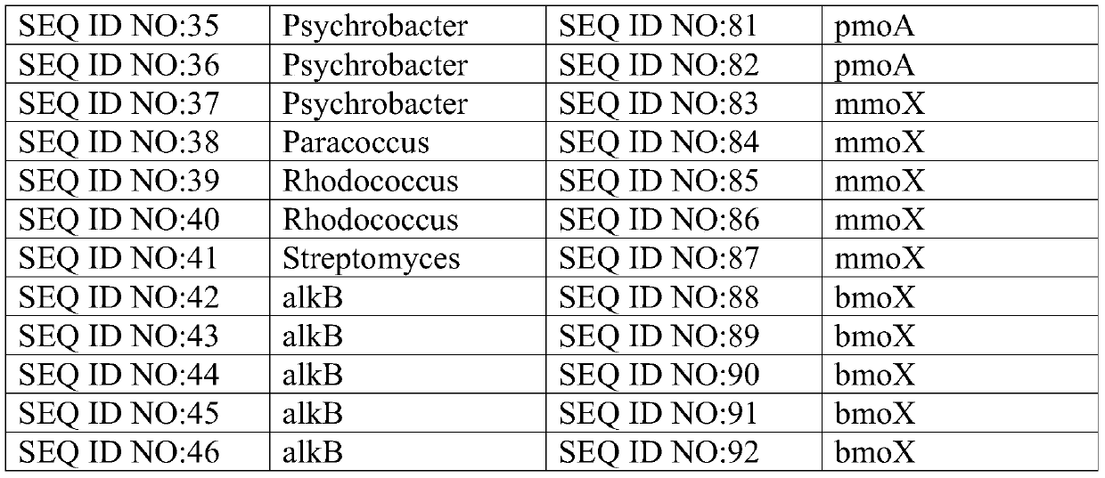 A chip for microbial oil and gas exploration and its application