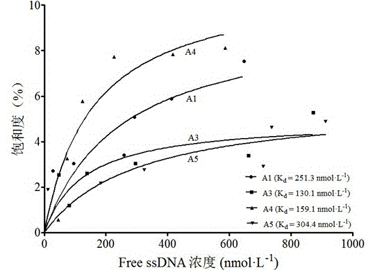 ssDNA aptamer for recognizing ofloxacin with specificity and application of ssDNA aptamer