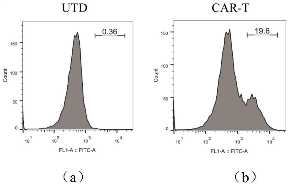 CD276-targeting chimeric antigen receptor with CD28 and 4-1BB as costimulatory structural domain and application of CD276-targeting chimeric antigen receptor