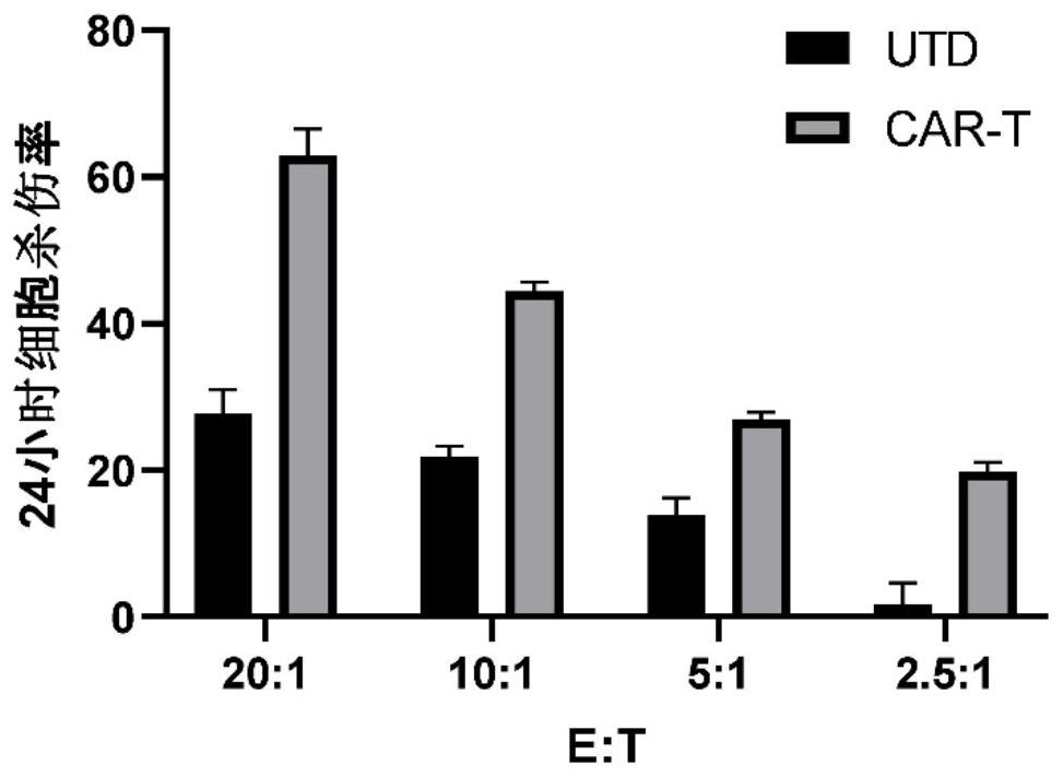 CD276-targeting chimeric antigen receptor with CD28 and 4-1BB as costimulatory structural domain and application of CD276-targeting chimeric antigen receptor