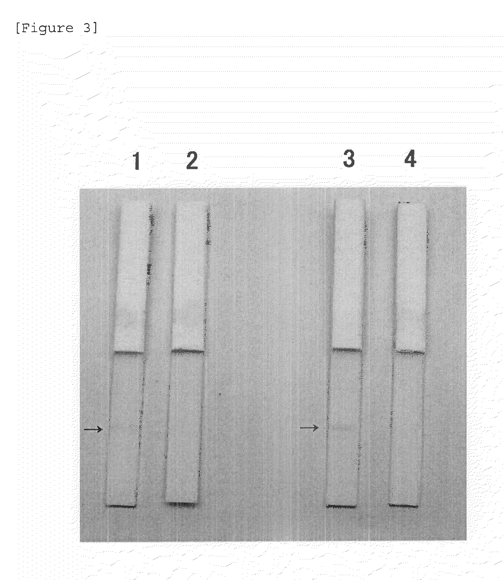 Method for evaluation of quality of blood sample