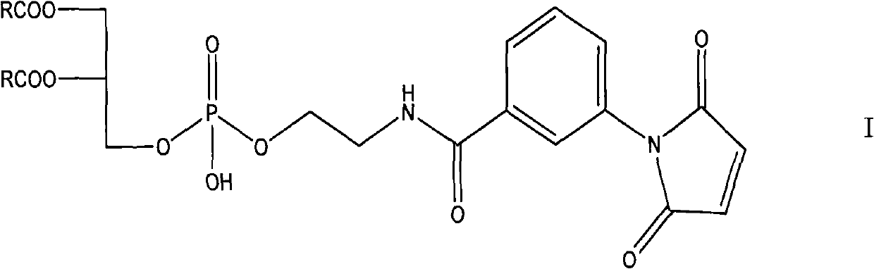 Synthetic method of maleimide phosphatidyl ethanolamine