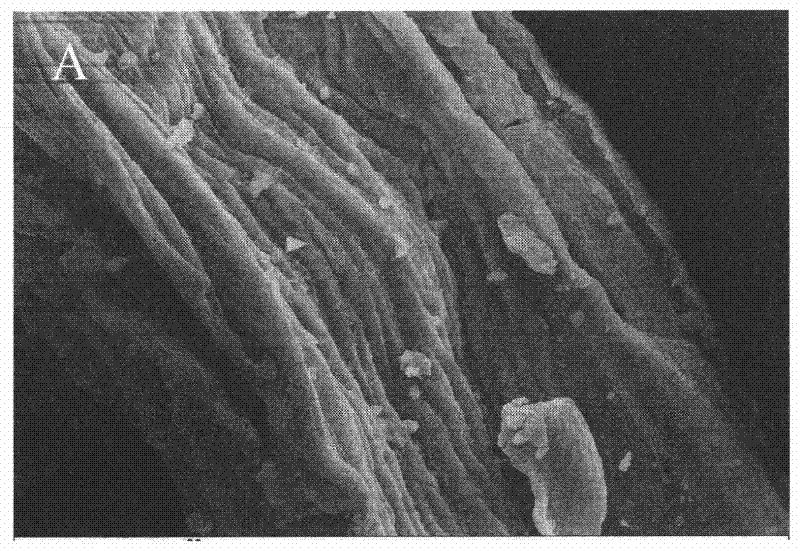 Method for treating tobacco stem