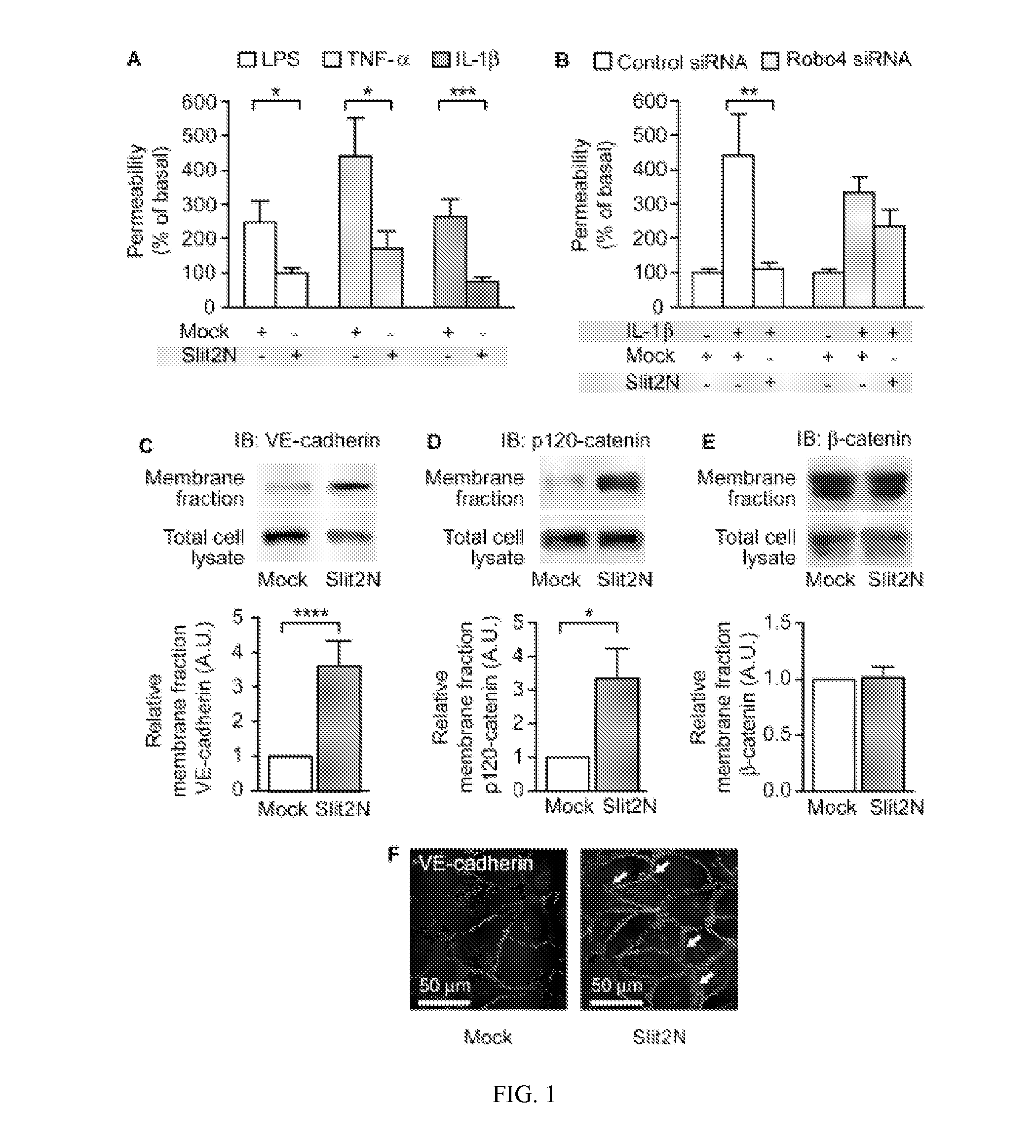 Compositions and methods for promoting vascular barrier function and treating pulonary fibrosis