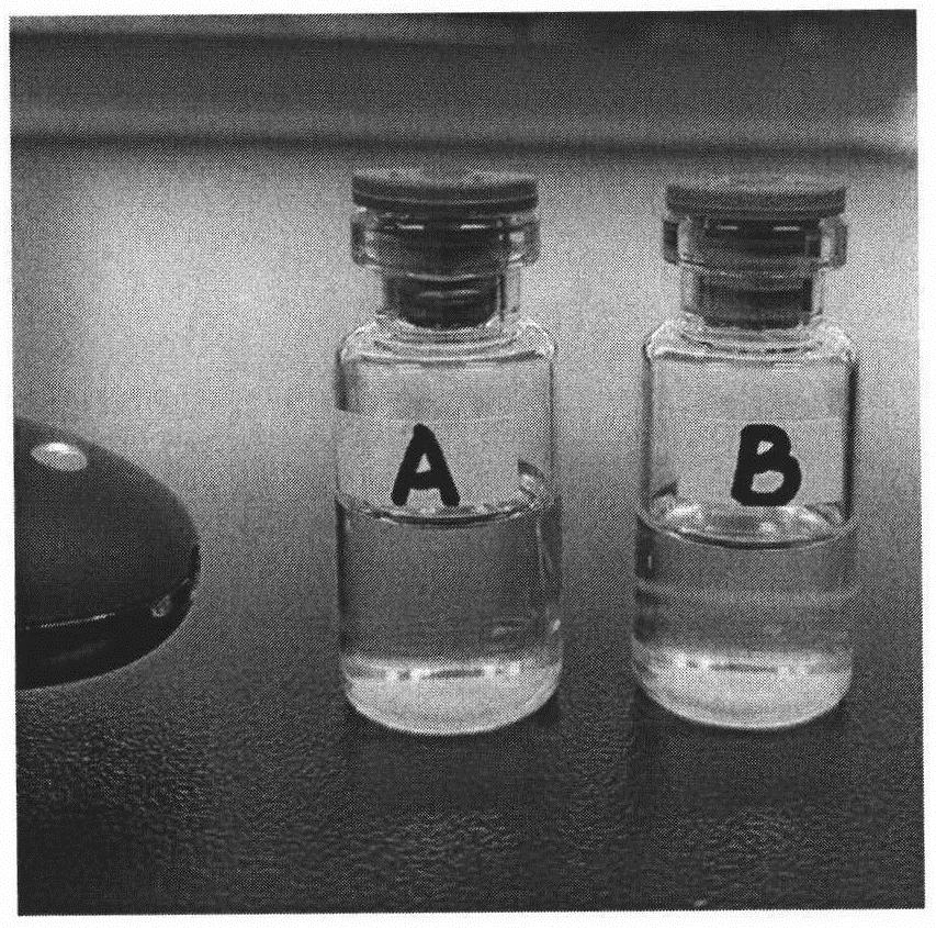 Carrier for transmembrane delivery of molecules and preparation method of carrier