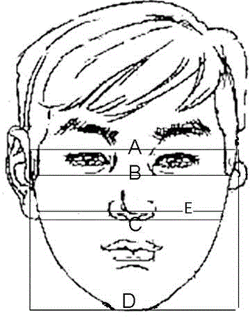 Method for locating position of reconstructed auricle