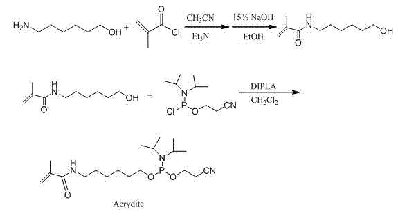 DNA hydrogel and application thereof in detection of peroxide