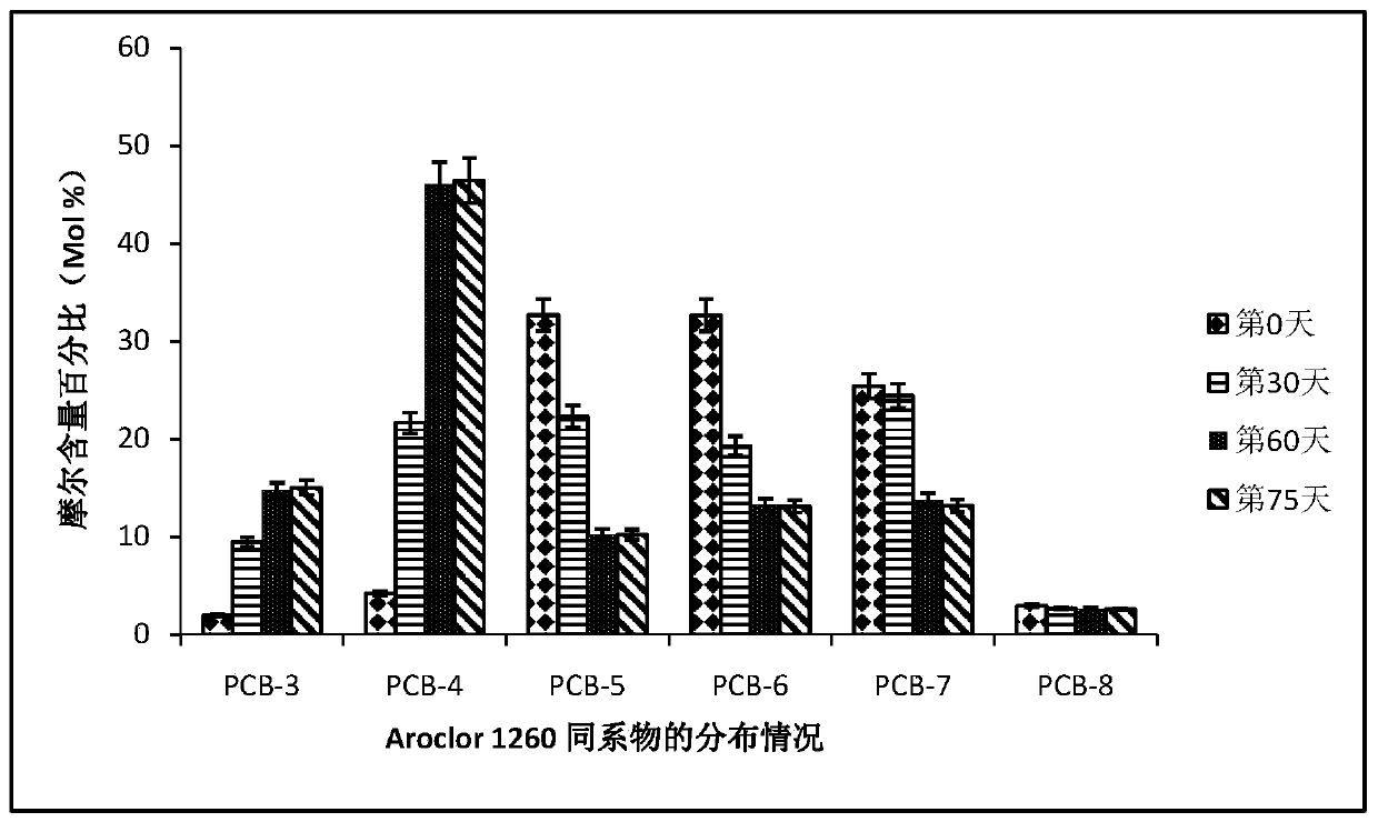 Application of a kind of rape stalk biochar in mediated anaerobic dechlorination of polychlorinated biphenyls