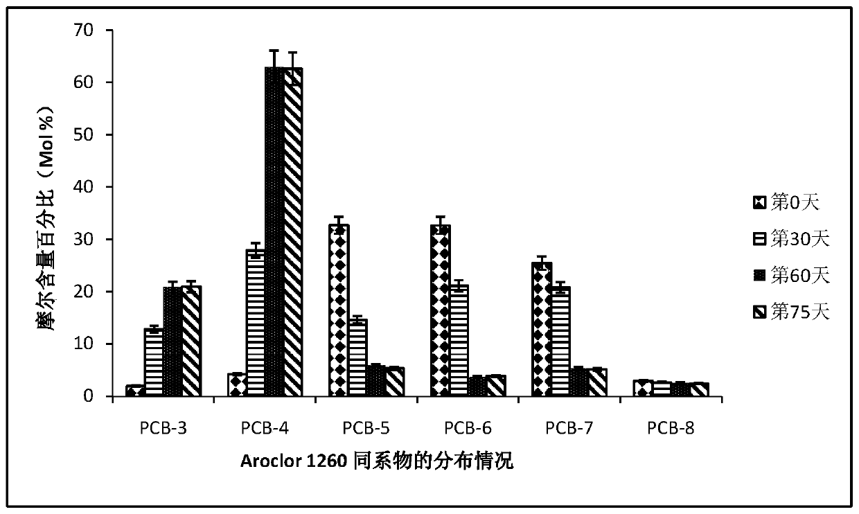 Application of a kind of rape stalk biochar in mediated anaerobic dechlorination of polychlorinated biphenyls