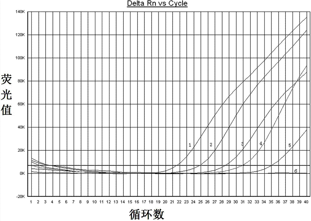 Primer pair, probe and kit for specific detection of porcine lymphotropic herpesviruses III