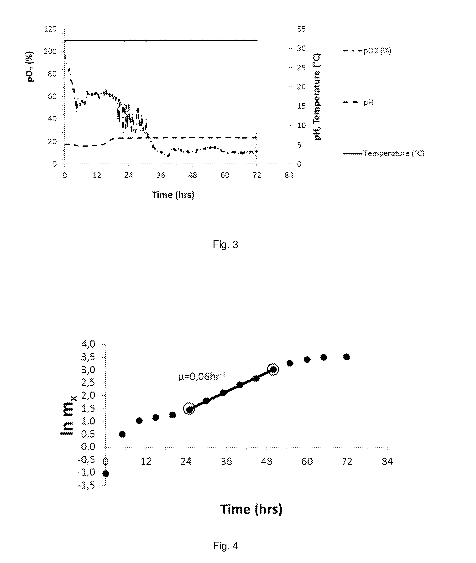 pH CONTROLLED YEAST PROPAGATION