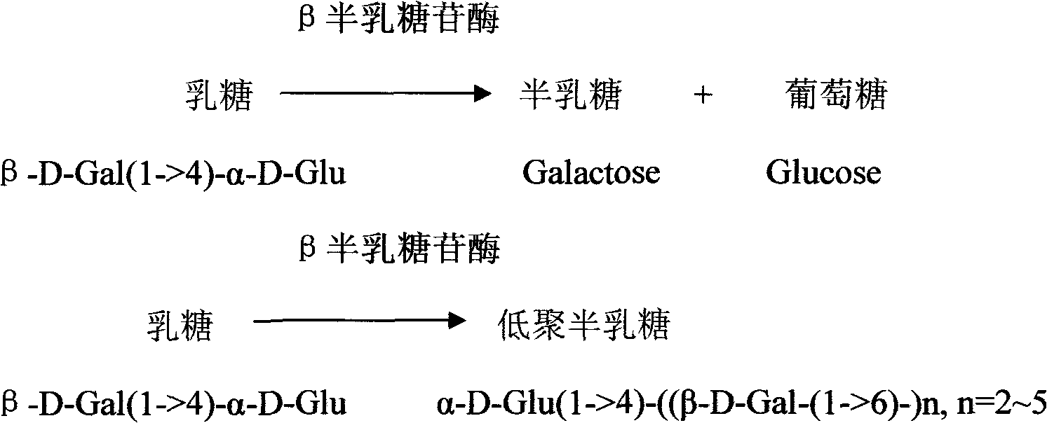 Method for producing high-purity oligomate