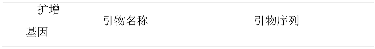 Method of judging rapid growth period of cyanobacteria based on cell division ftsZ gene expression quantity