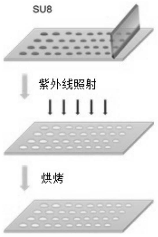 Preparation method and protective film of microlens array structure