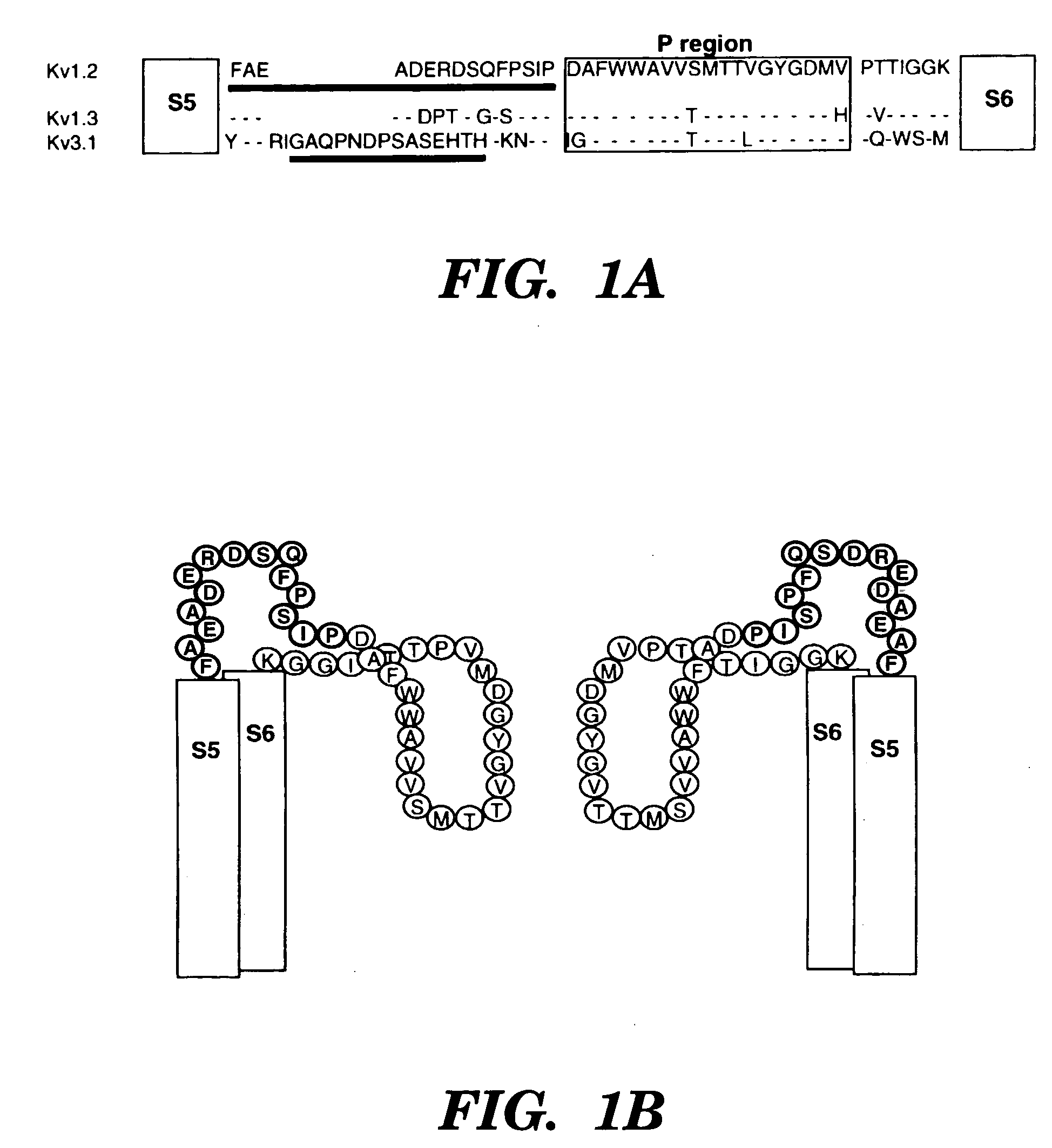 Methods for designing specific ion channel blockers