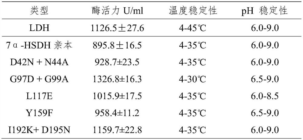 A kind of preparation method of 3α-hydroxyl-7 oxo-5β-cholanic acid and its preparation enzyme 2