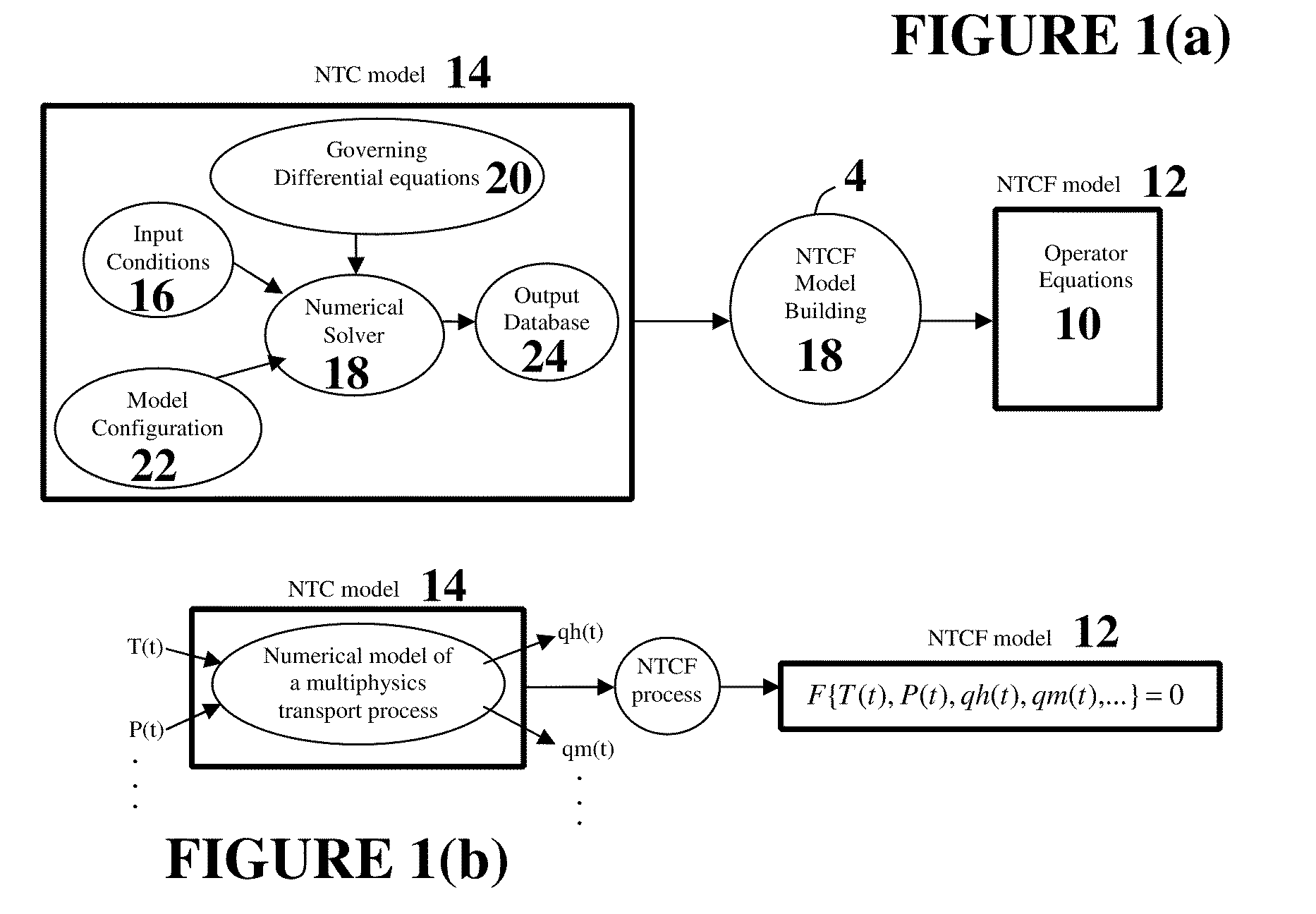 Multiphase physical transport modeling method and modeling system