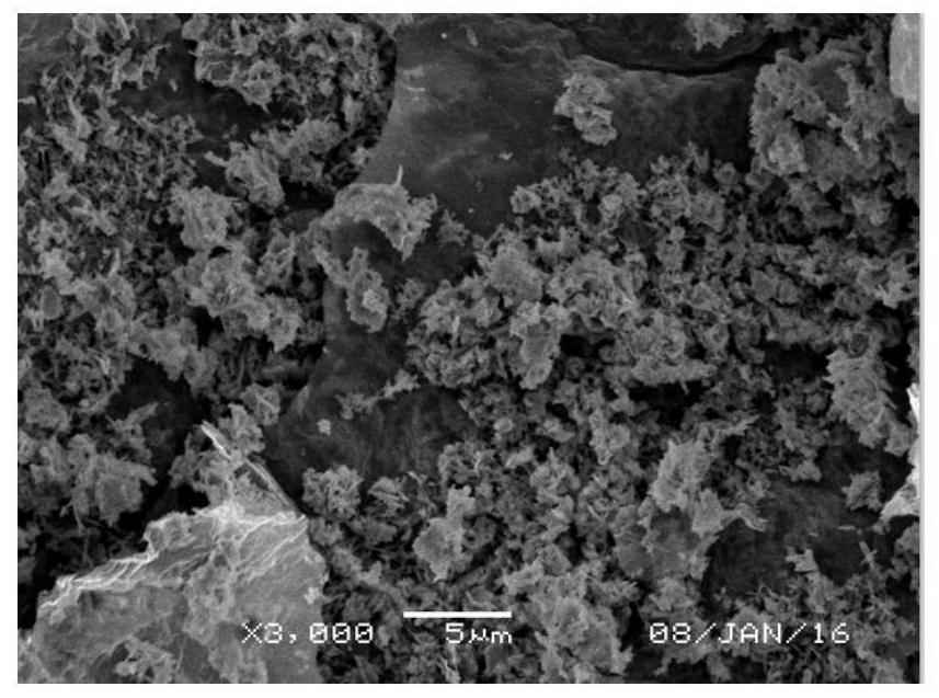 Graphene and nano-silver composite material and preparation method thereof