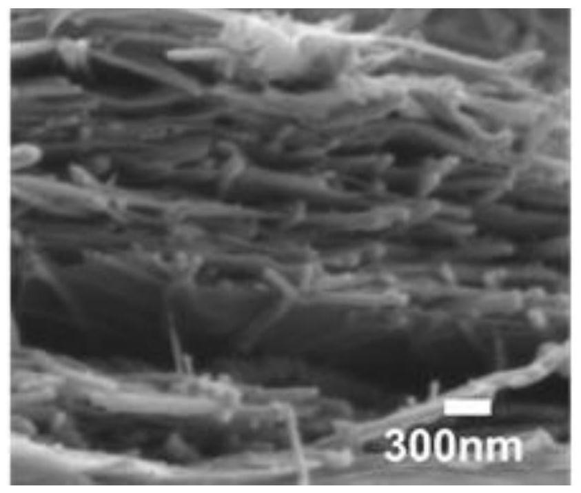 Graphene and nano-silver composite material and preparation method thereof