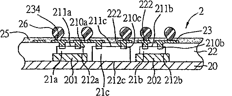 Chip embedding bury type packaging structure