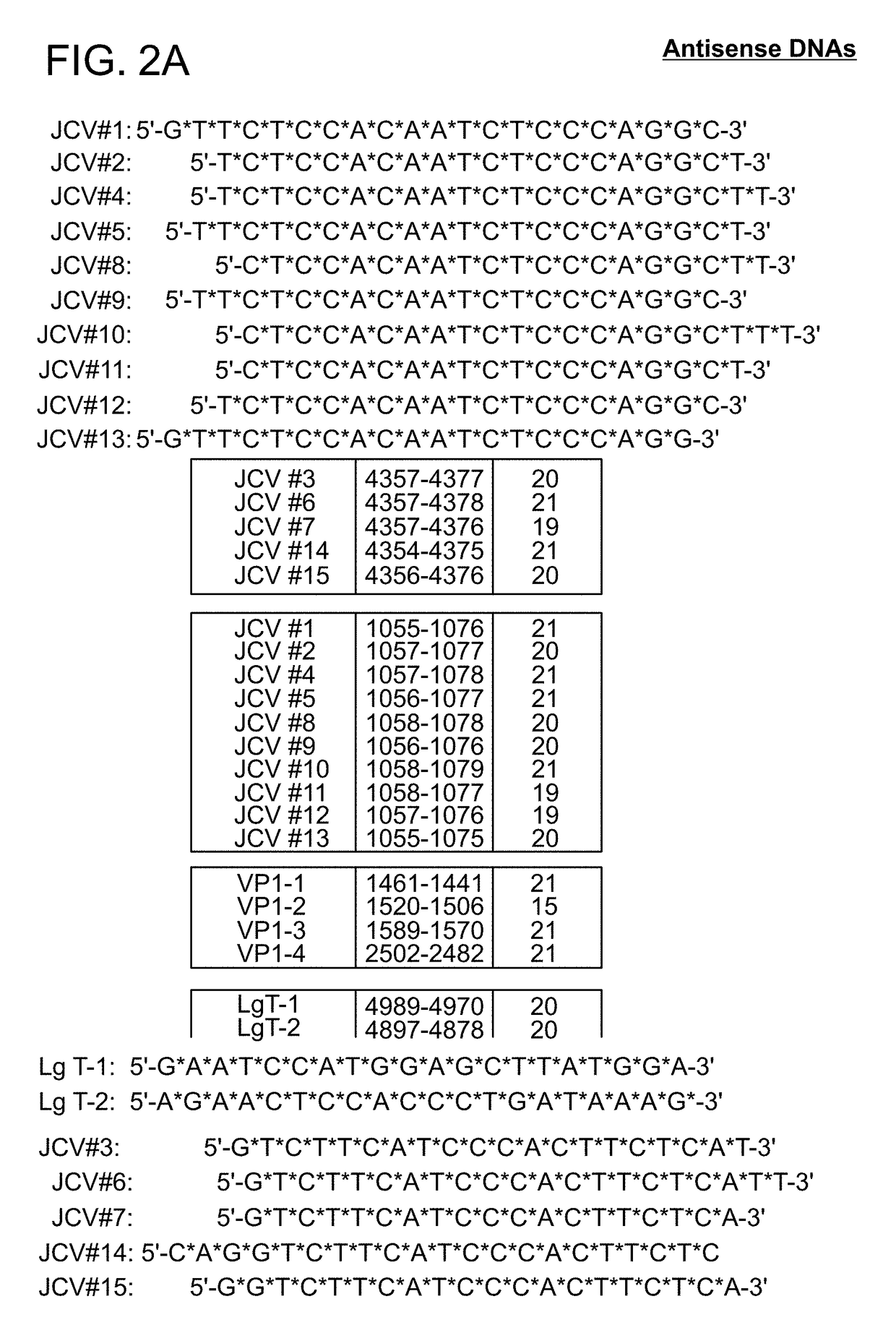 Compositions and methods for inhibiting JC virus (JCV)