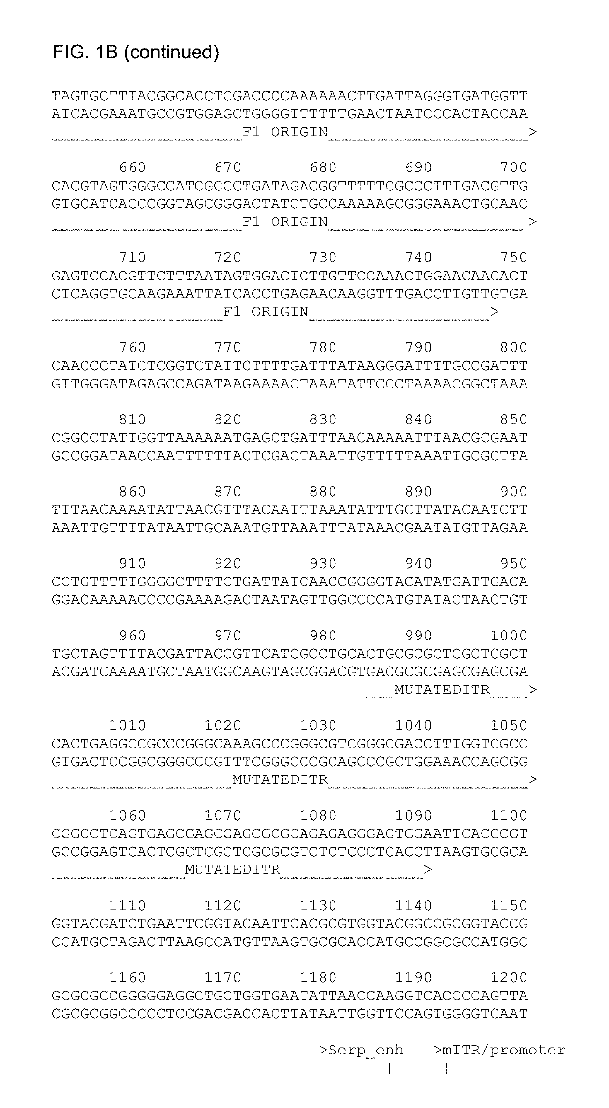 Vectors for liver-directed gene therapy of hemophilia and methods and use thereof
