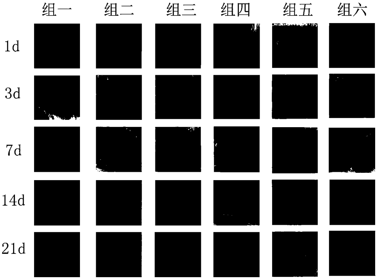 Traditional Chinese medicine composition, external use latex, preparation method and application thereof