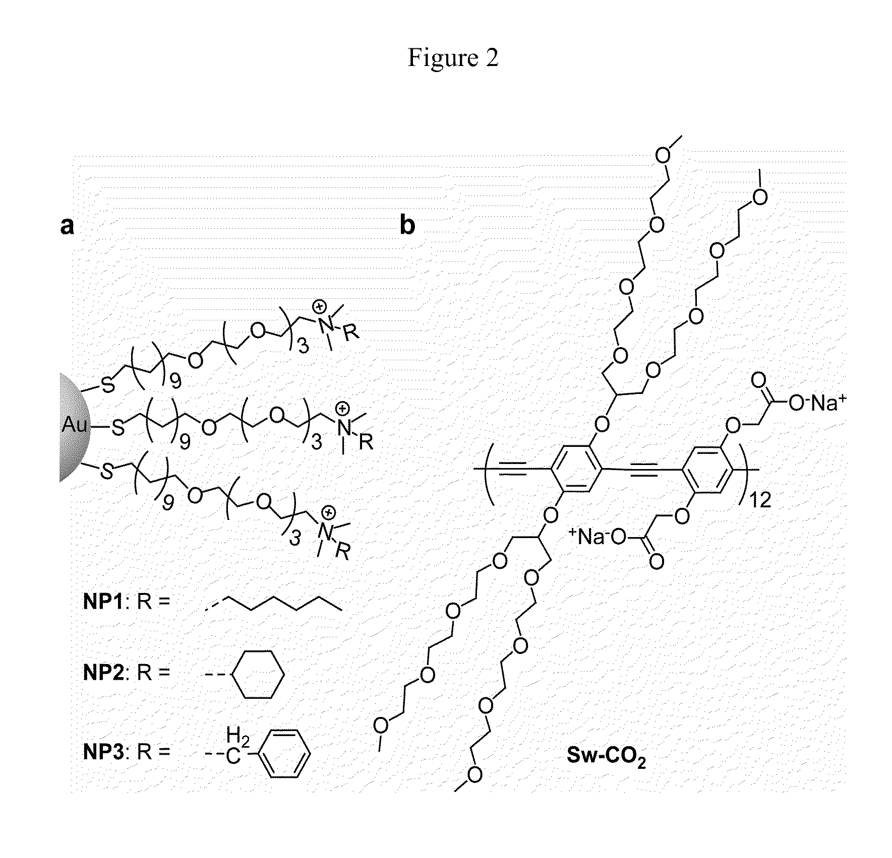 Methods and compositions for pathogen detection using fluorescent polymer sensors